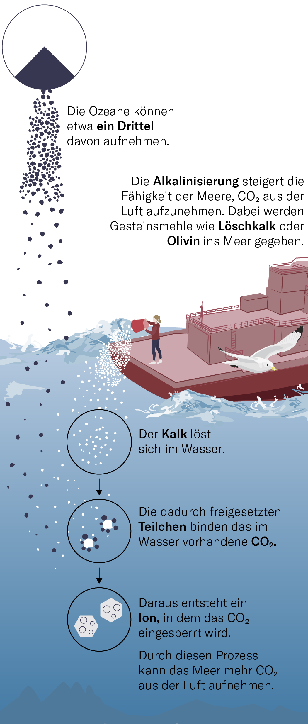 Klima: CO2-Aufnahme im Meer - Nordsee-Experiment mit Gesteinsmehl