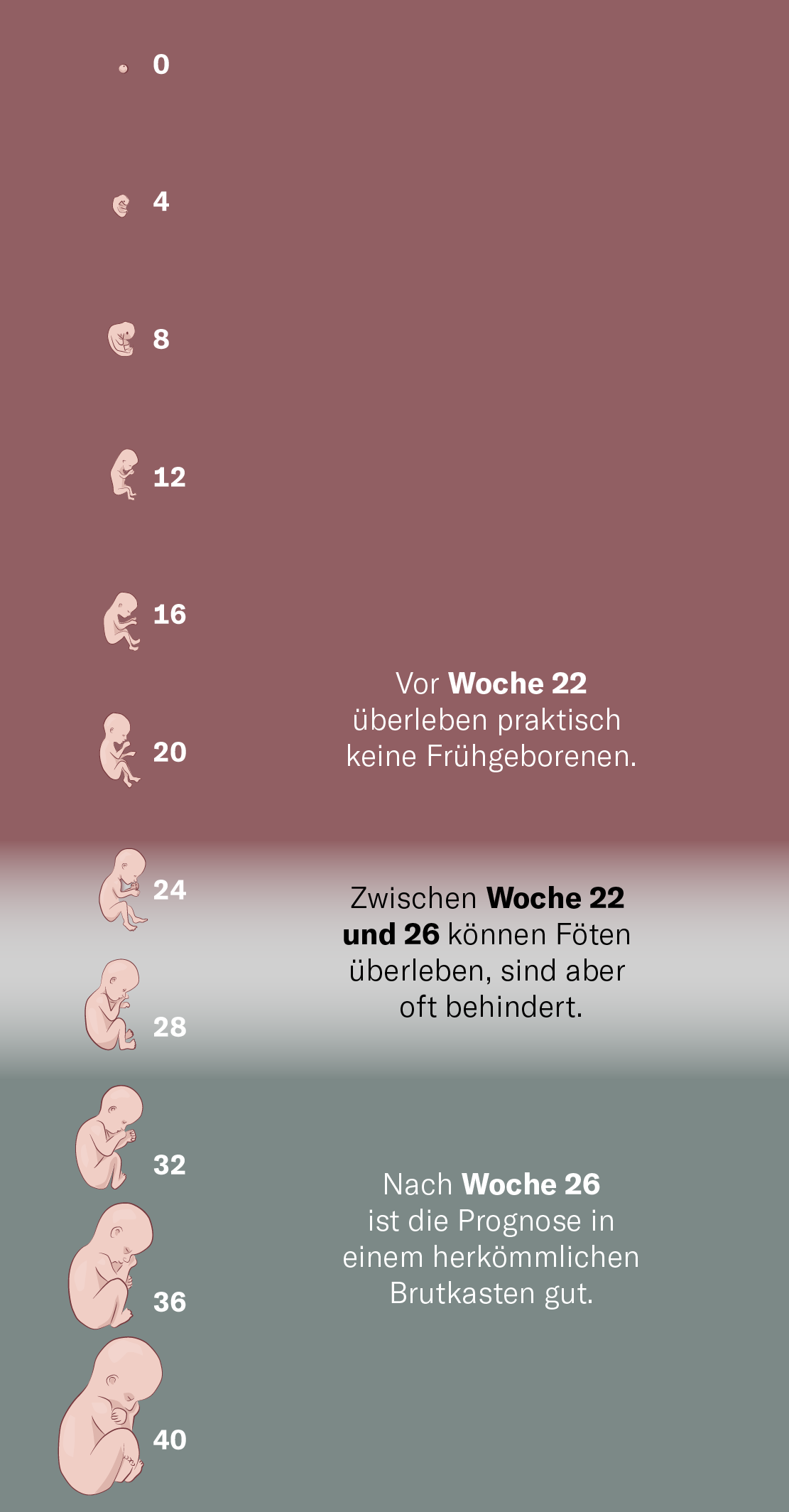 künstliche befruchtung hunde Neu!! Visuelle künstliche Befruchtung für Hunde und TCI-künstliche  Befruchtung main image 1